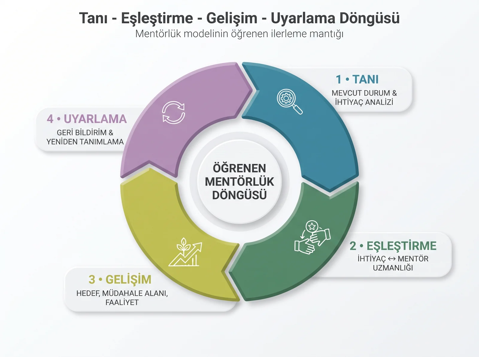 Tanı, eşleştirme, gelişim ve uyarlama aşamalarından oluşan öğrenen mentörlük döngüsü